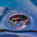 Brandyn Hahn