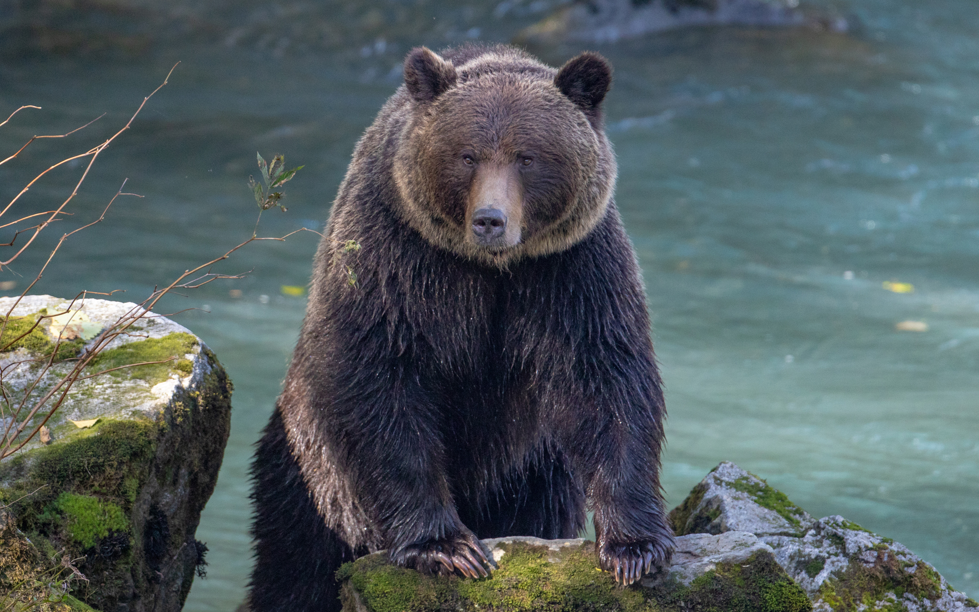 Wildlife Holidays in Canada | Outdoor Adventure Canada |