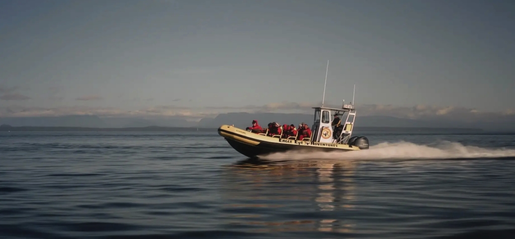 Whale Watching Tours | Adventure Tour Companies