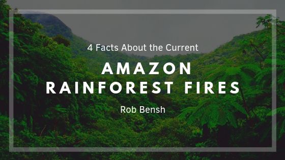 4 Facts About the Current Amazon Rainforest Fires | Rob Bensh | International Affairs