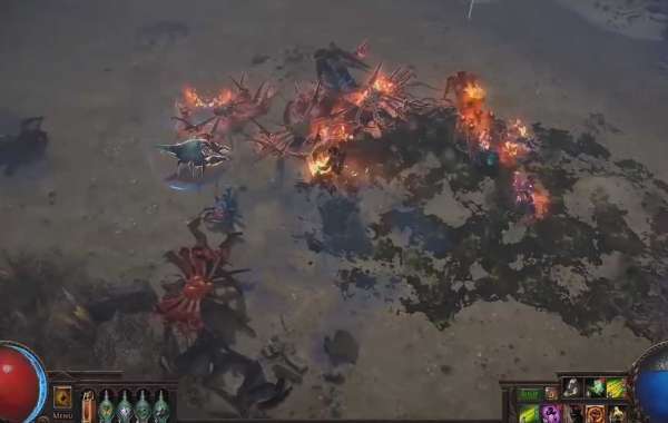 Path of Exile's Developer Reported That There Were Minor