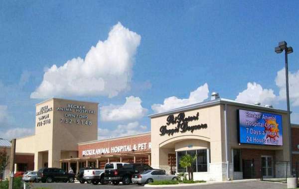 How Metal Buildings Save Money After Construction