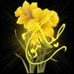Azeddine Mansouri
