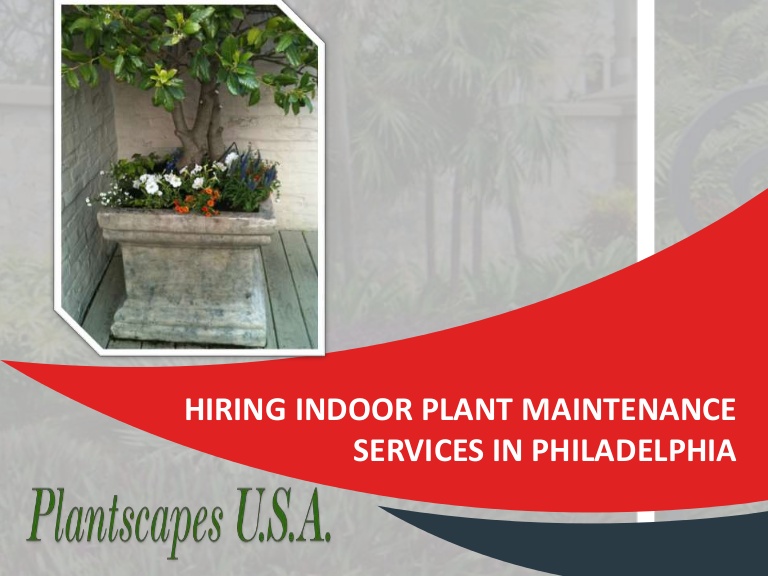 Hiring indoor plant maintenance services in philadelphia