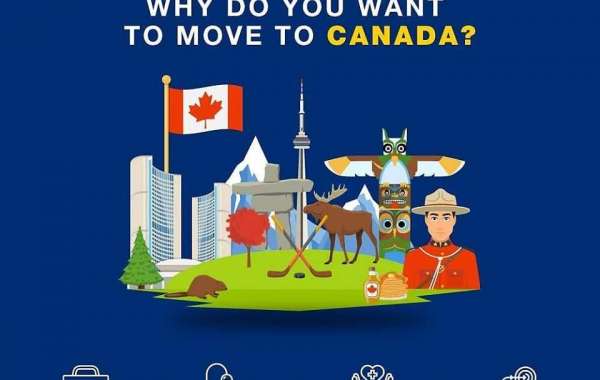 Who Is Amongst The Best Canada Immigration Consultants In Vancouver?