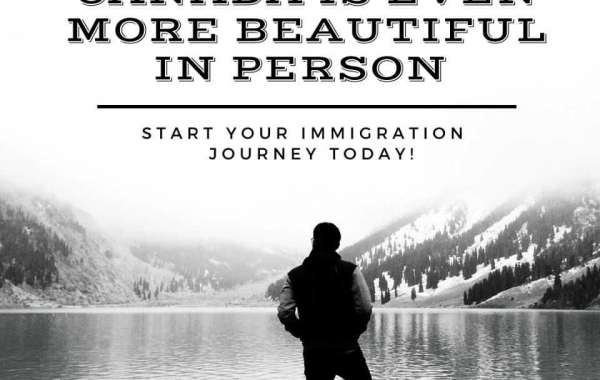 What are the Benefits Of Hiring An ICCRC Immigration Consultant in Vancouver?
