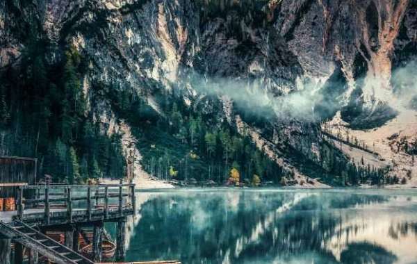 Oasis of Creativity