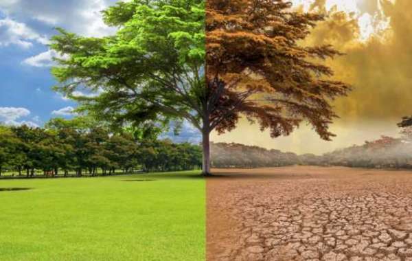 Climate Change