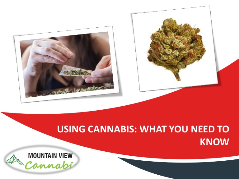 Using cannabis what you need to know