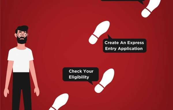 Why should you hire a Canadian Immigration Agency?