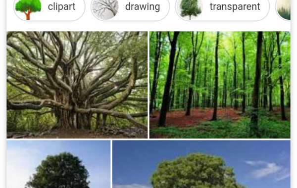 Importance of trees