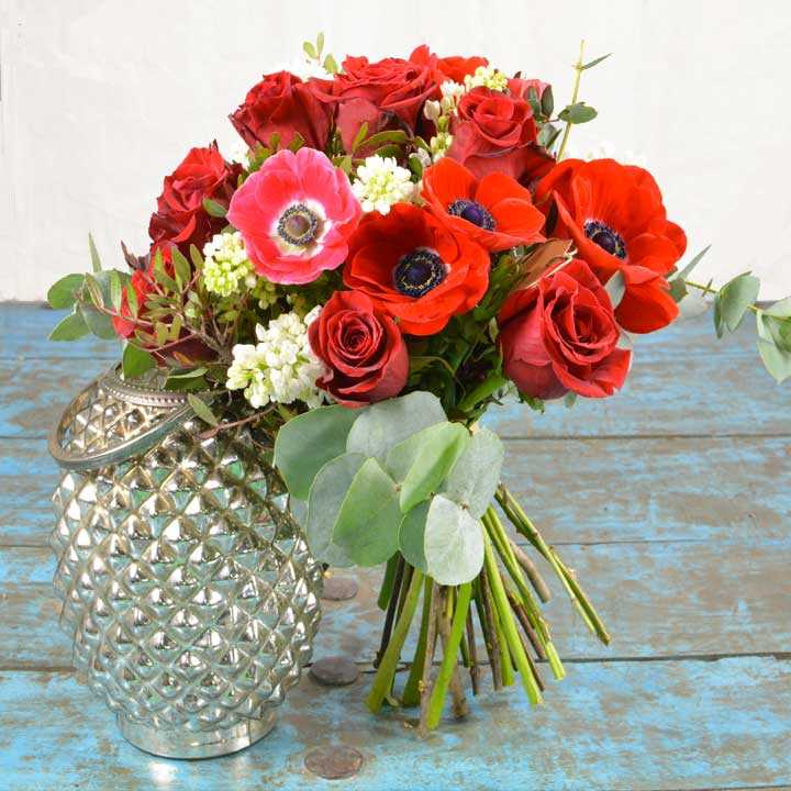 help for haiti