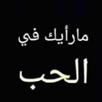 هشام سعيد