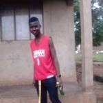 Odexx Pius