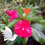 Lovely Rose Ramirez
