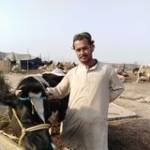 Rasool Dotani