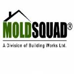 Mold Squad