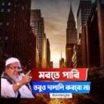 Md. Ahmad Ullah