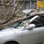 First Priority Insurance Agency