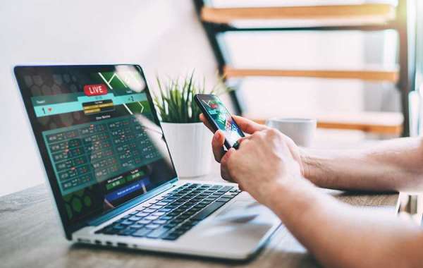 Best Rated Sports Betting Software
