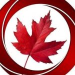 Novus immigration