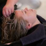Molly's Salon