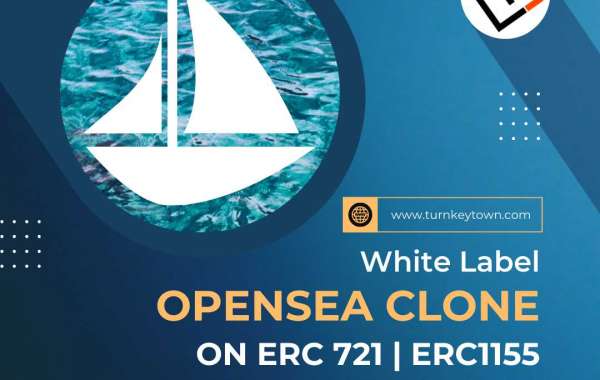 The Stages of White Label Opensea Clone Development Are as Follows