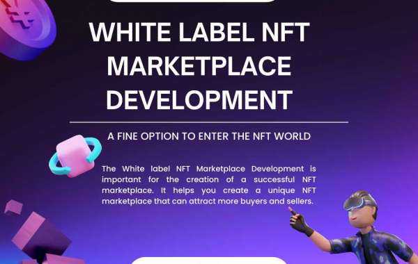Why Approach White-label NFT Marketplace Development Company For Launching An NFT Marketplace?