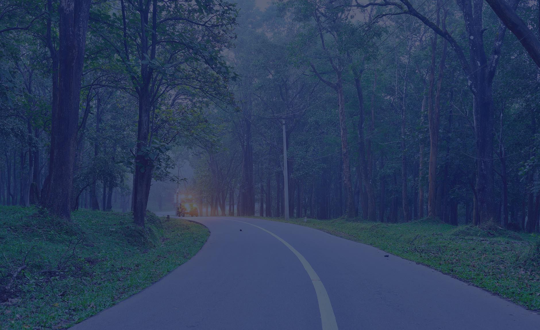 Luxury Resort in Wayanad | Book Resorts in Wayanad - The Woods Resorts