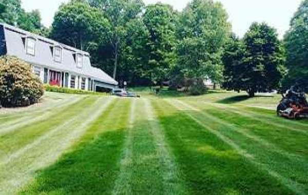 Vielman Landscaping #1 Commercial Landscaping New York Service Provider