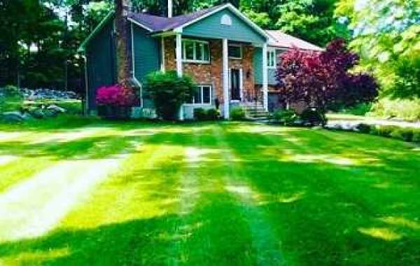 Big Question For Cleaning Lawn Care DIY or Professional Lawn Care Service