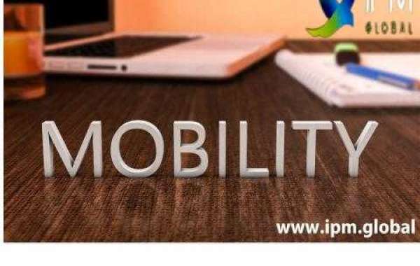 IPM Global: Global Mobility Solution Agency