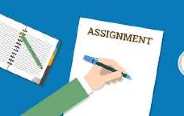 assignment help services