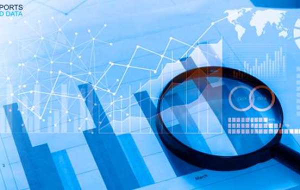 Potato Processing Machines Market Size and Analysis, Trends, Recent Developments, and Forecast Till 2028