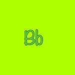 Bright Beginners Daycare LLC