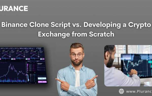 Which is Better for You: Building a Crypto Exchange From Scratch vs. Using a Binance Clone Script?