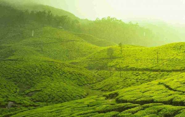 Ancient Indian Sciences and Mathematics, Astronomy, Impact