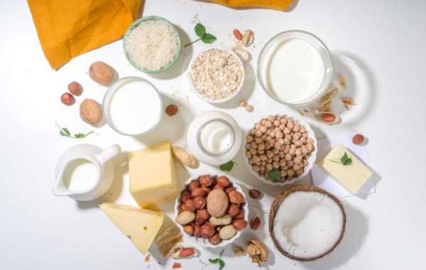 Alternative Proteins Market: An In-Depth Look at the Current State and Future Outlook