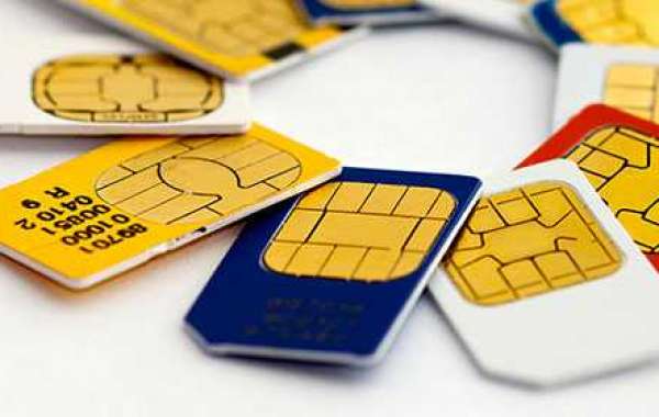 Exploring the Different Types of Network Services