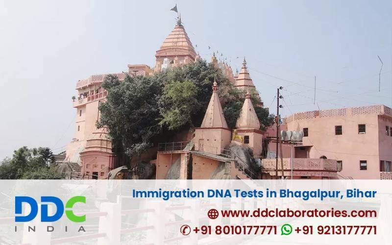 DDC Laboratories India on Gab: 'Which Documents are Required for Immigration DNA …' - Gab Social