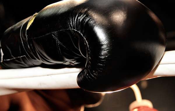 Leather Boxing Gloves in US