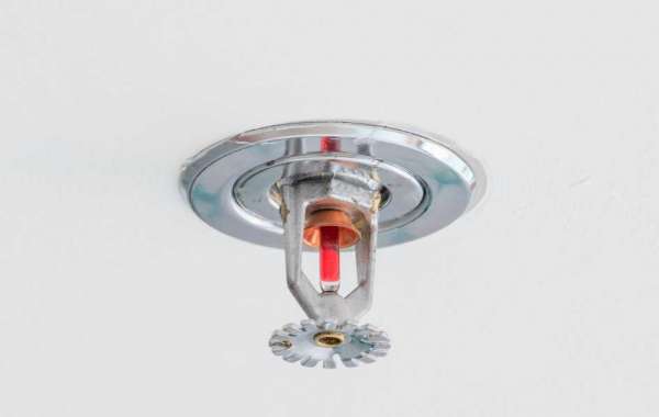Tailored Commercial Sprinkler Systems for Every Business
