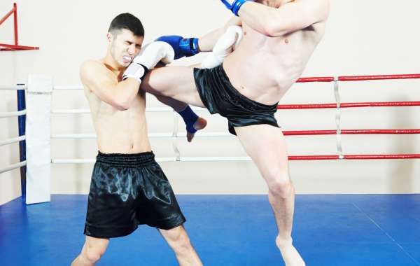 Boxing Professional Gloves in US