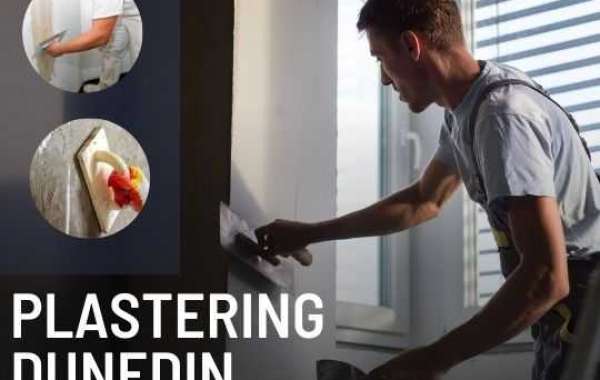 Reputed Plastering Service Firm in Dunedin
