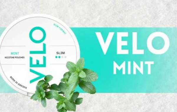 Entdecken Sie die besten Angebote für Velo Mint: Snus online kaufen bei Snushus.ch