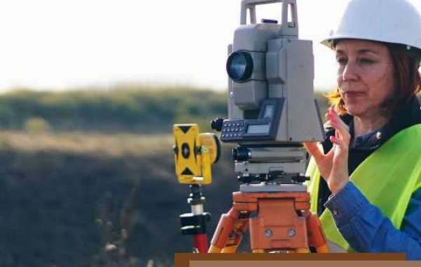 Surveyor Auckland Mapping the Future of Urban Development
