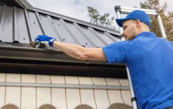 Affordable Roof Cleaning Services in Homestead