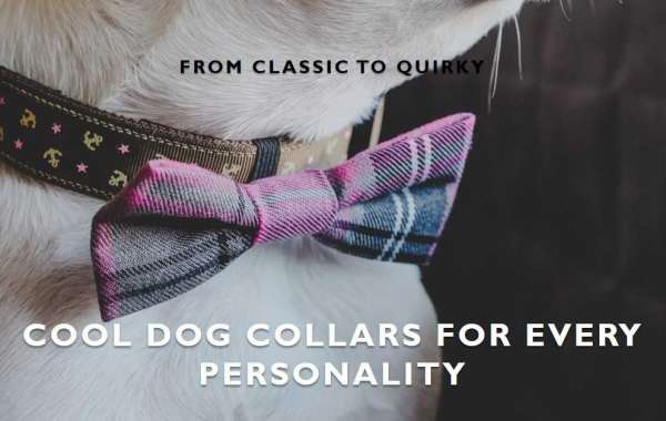 From Classic to Quirky: Cool Dog Collars for Every Personality