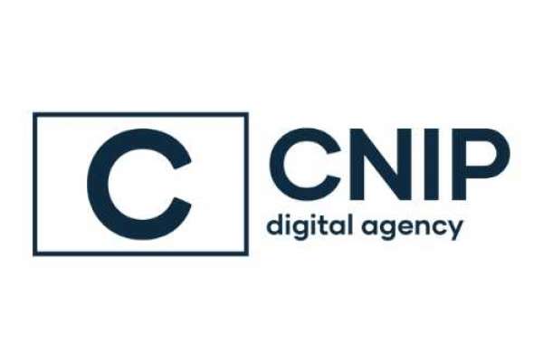 CNIP digital agency