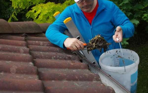 Trusted Gutter Cleaner in Wellington